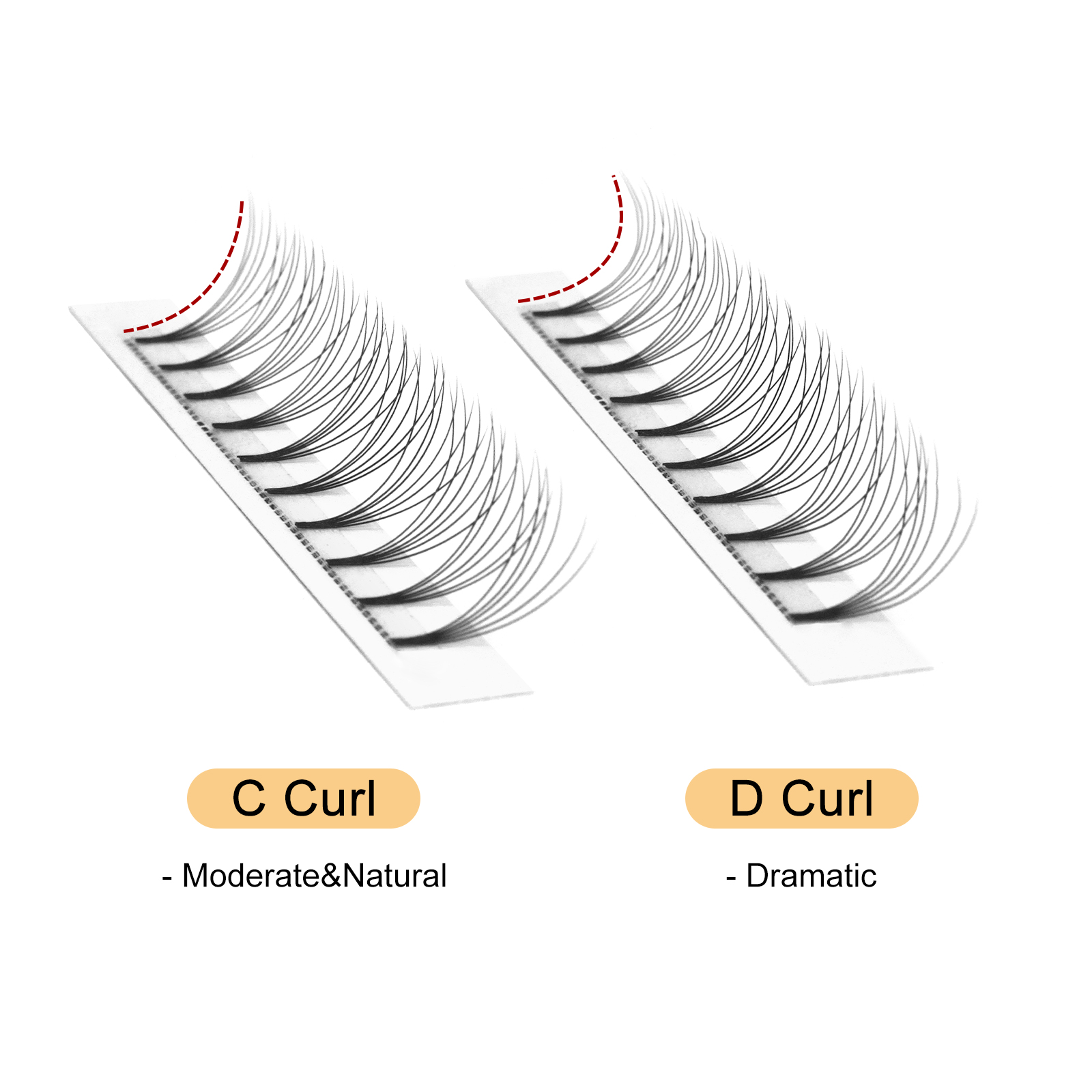 Quewel Premade Fans Lashes 8D/ - Lash Fan Volume recensione e prezzo