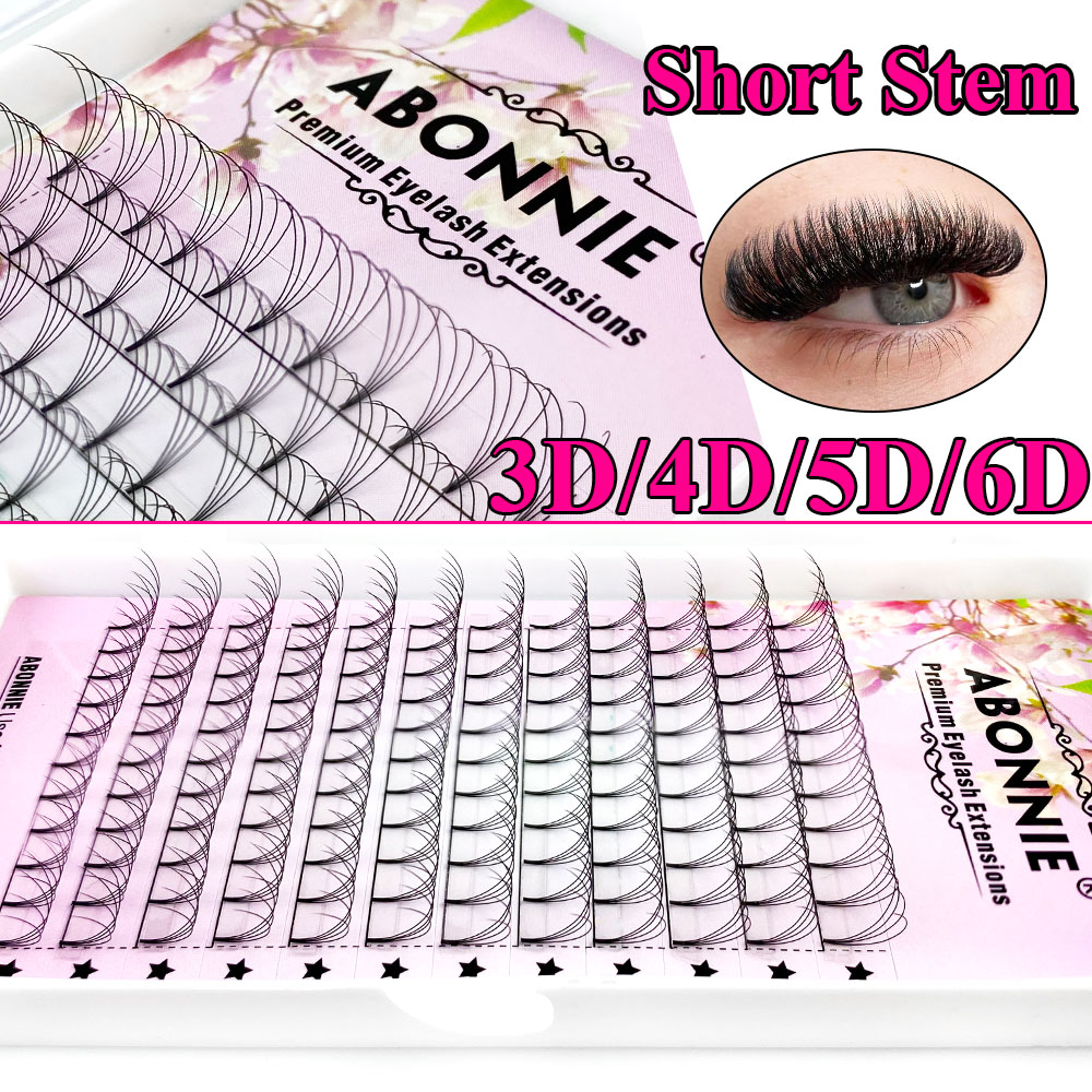 Abonnie 6D Narrow Fan Premade  - Eyelash Extension Russian Volume recensione e prezzo